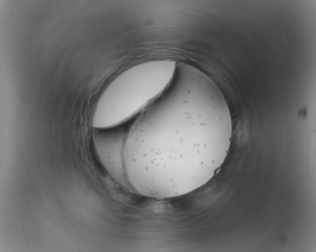 X0000114020424200910021020