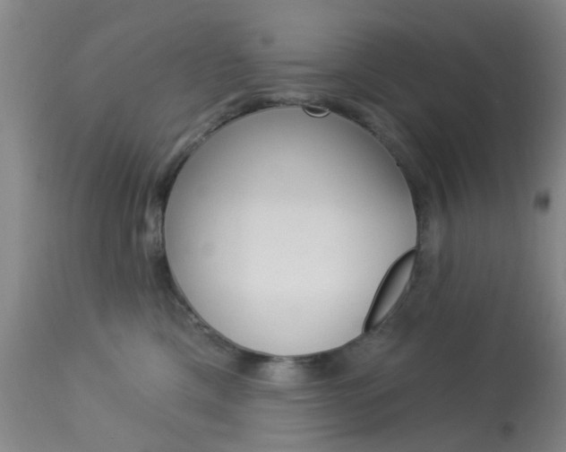 X0000114020425200910021020