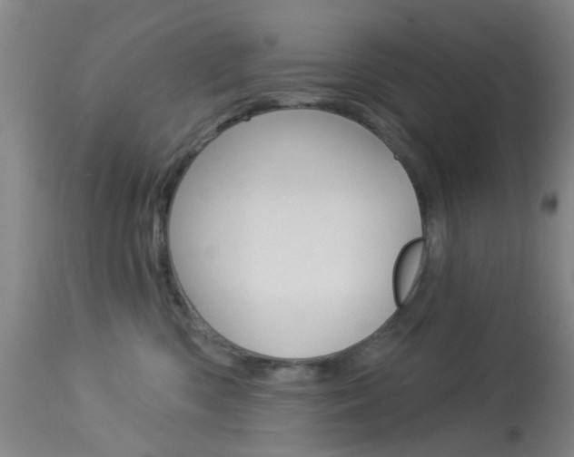 X0000114020426200910021020