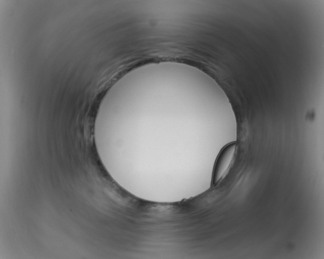 X0000114020428200910021020