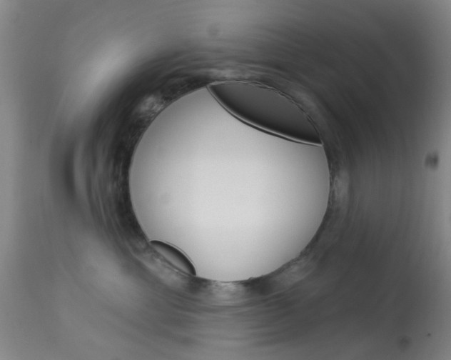 X0000114020429200910021020