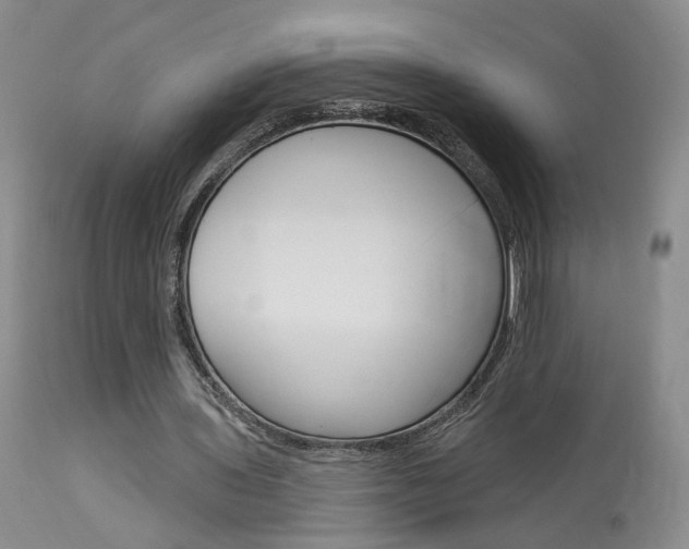 X0000114020435200910021020