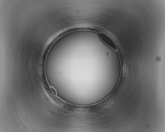 X0000114020436200910021020
