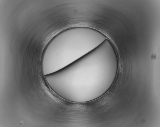 X0000114020437200910021020
