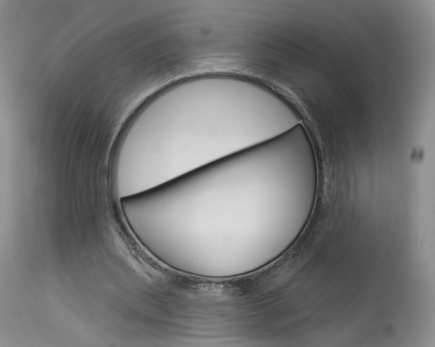 X0000114020439200910021020