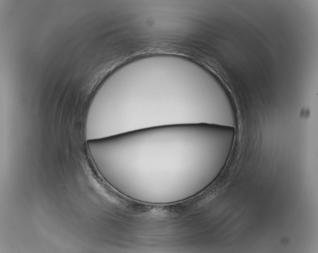 X0000114020441200910021020