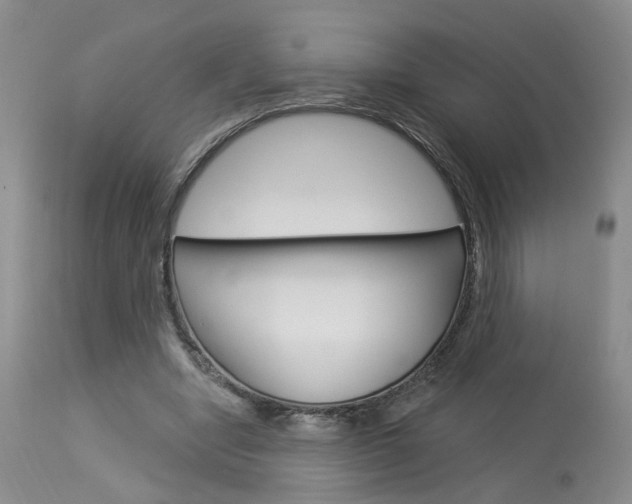 X0000114020442200910021020
