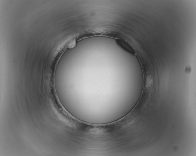 X0000114020444200910021020