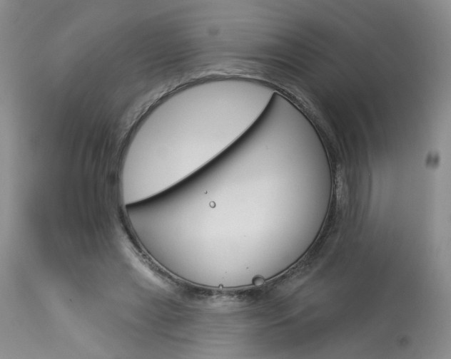 X0000114020445200910021020