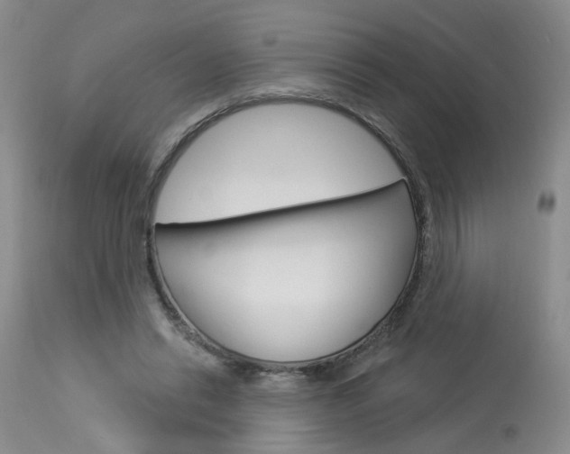 X0000114020446200910021020