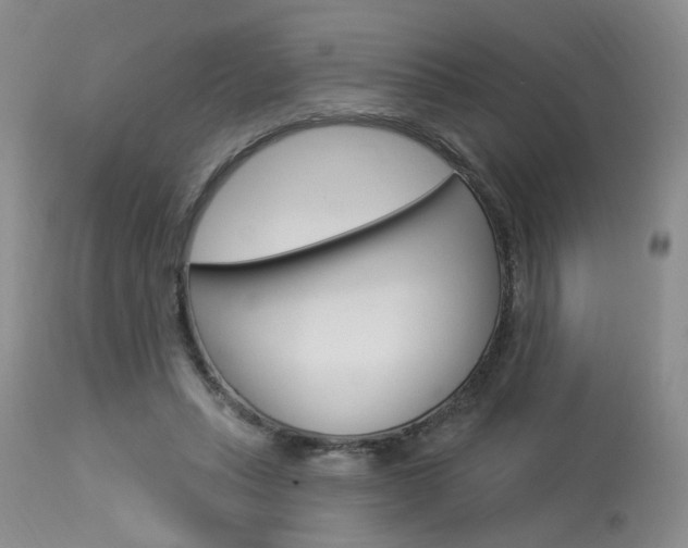 X0000114020447200910021020