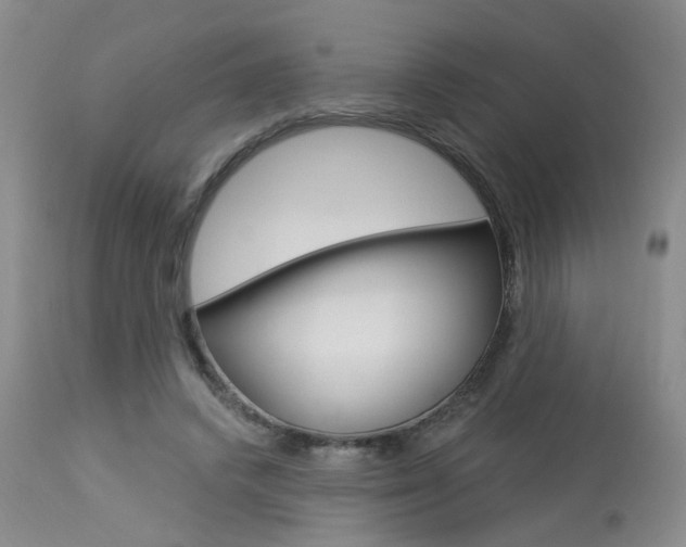 X0000114020448200910021020