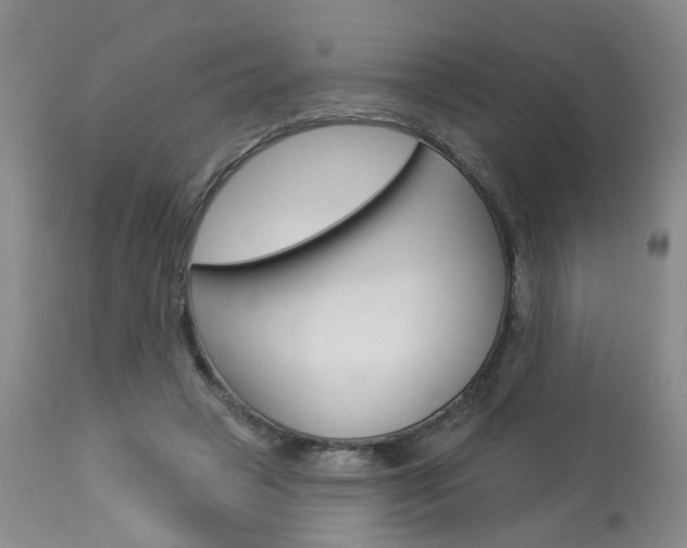 X0000114020449200910021020