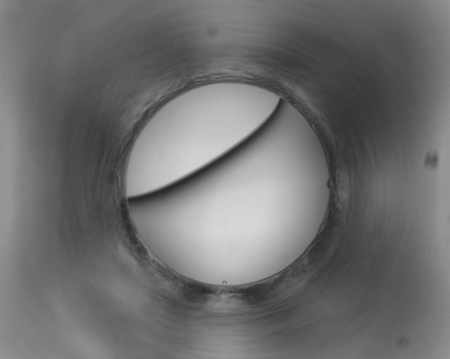 X0000114020451200910021020