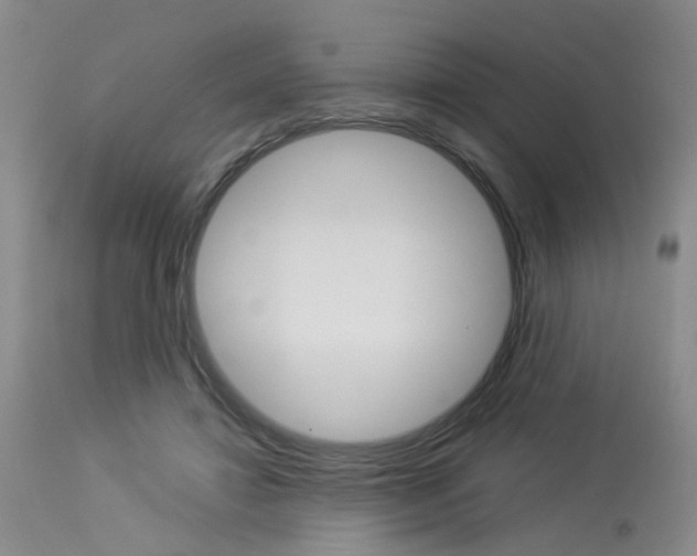 X0000114020452200910021020
