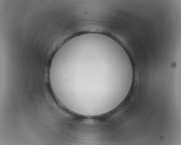 X0000114020453200910021020