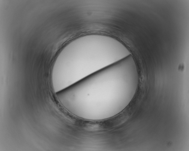 X0000114020454200910021020