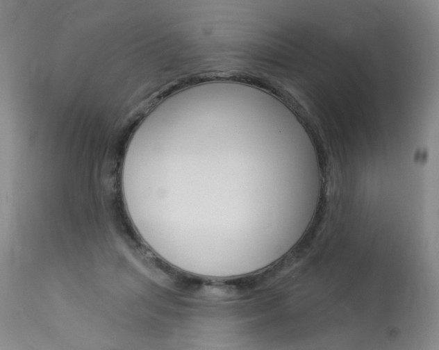 X0000114020455200910021020