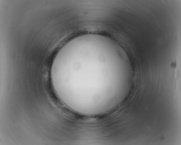 X0000114020456200910021020