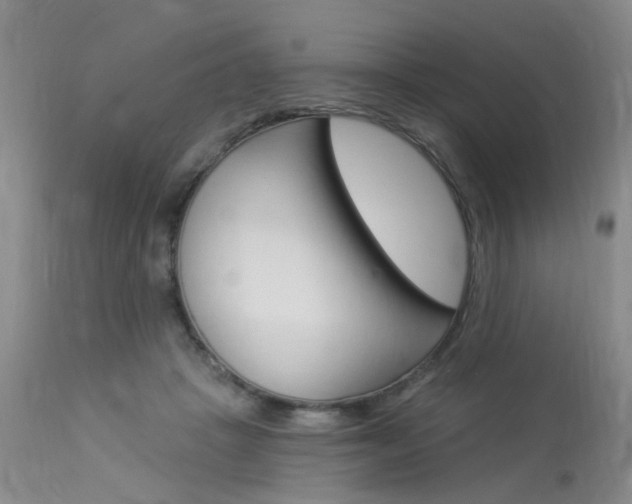 X0000114020457200910021020
