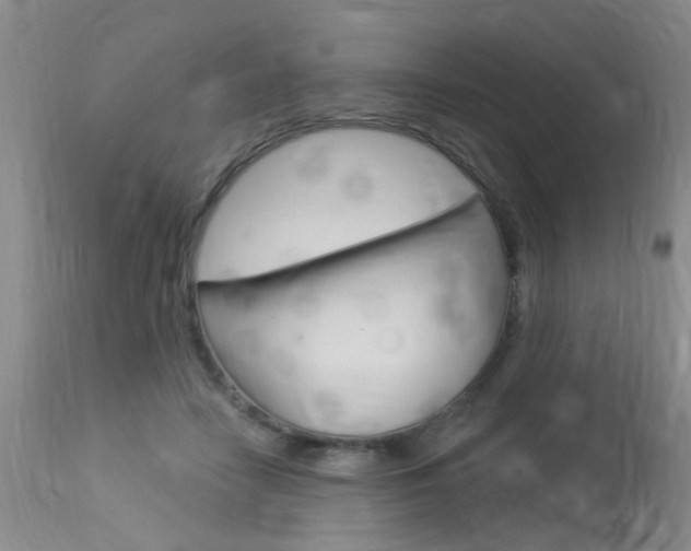 X0000114020458200910021020