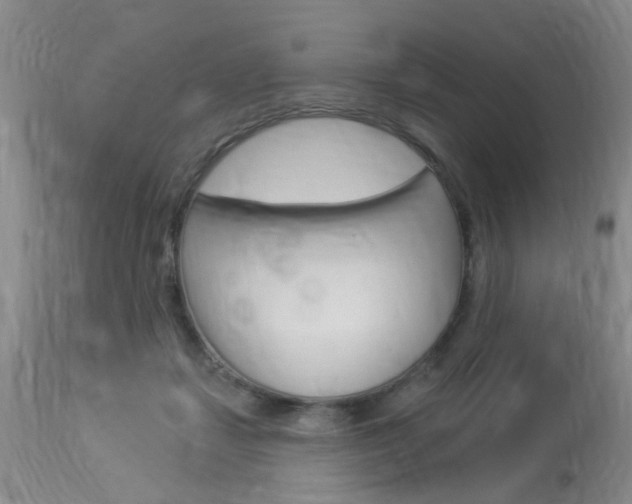 X0000114020459200910021020