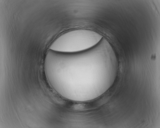 X0000114020461200910021020