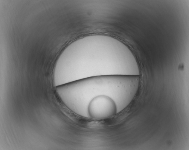 X0000114020465200910021020