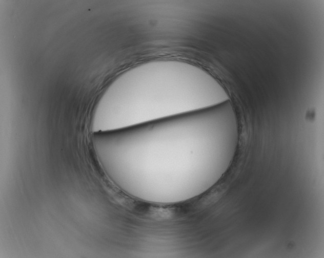 X0000114020469200910021020