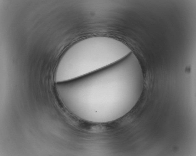 X0000114020470200910021020