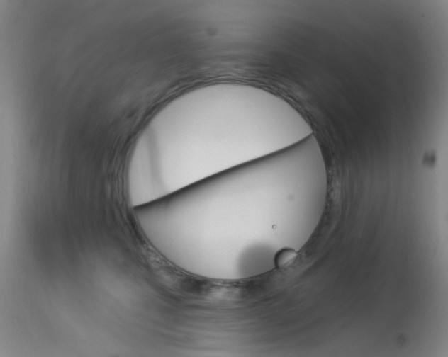 X0000114020471200910021020
