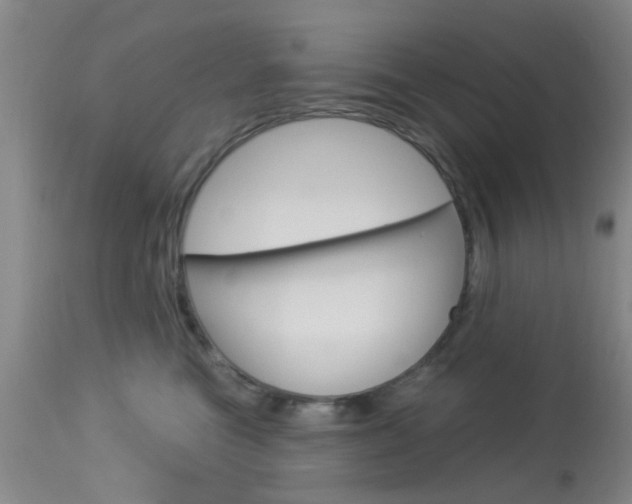 X0000114020473200910021020