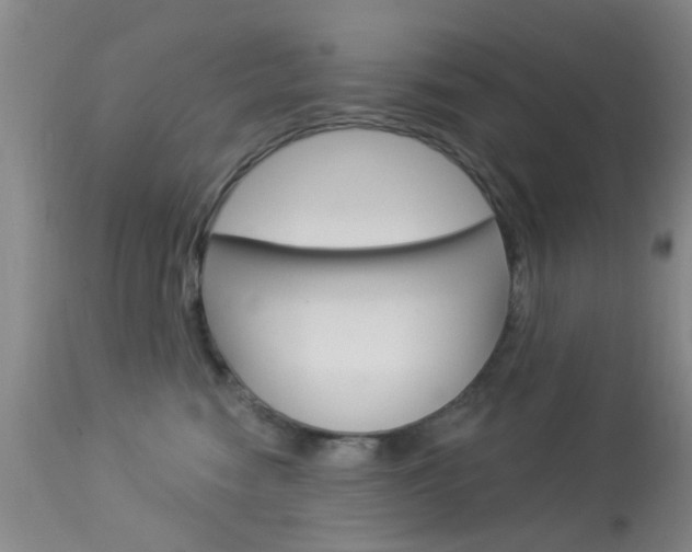 X0000114020474200910021020
