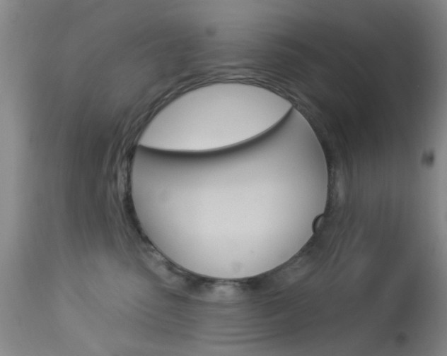 X0000114020475200910021020