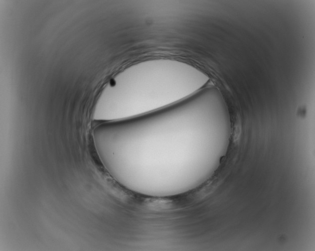 X0000114020476200910021020