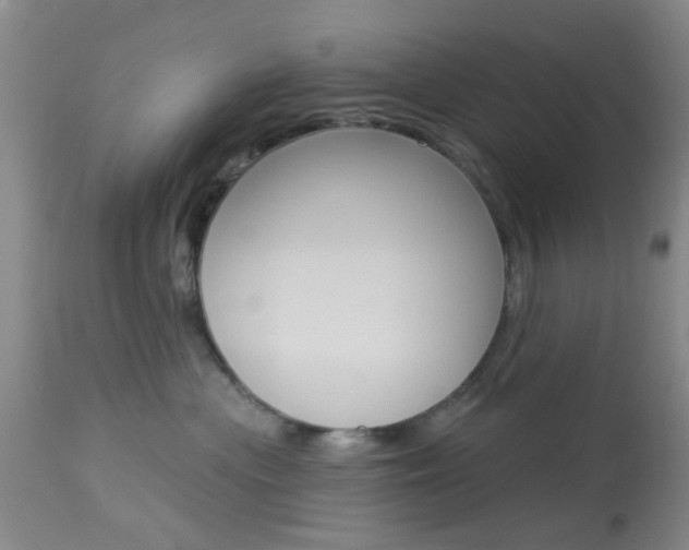 X0000114020477200910021020