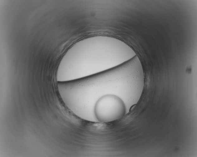 X0000114020478200910021020