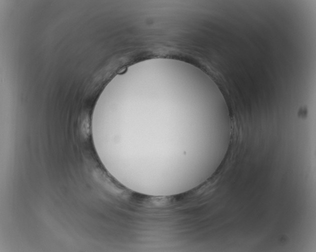 X0000114020479200910021020