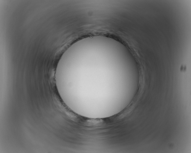 X0000114020480200910021020