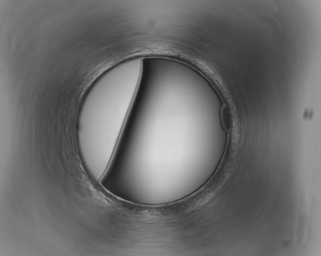 X0000114020481200910021020