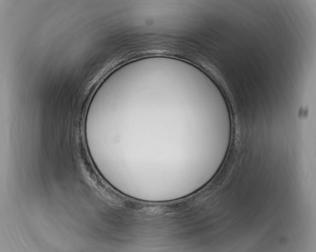 X0000114020482200910021019