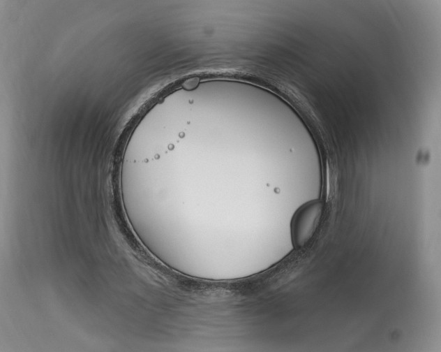 X0000114020483200910021019