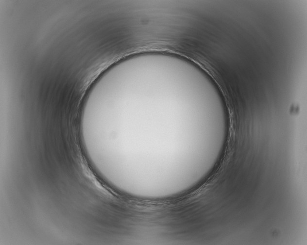 X0000114020485200910021019