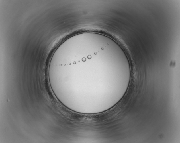X0000114020487200910021019