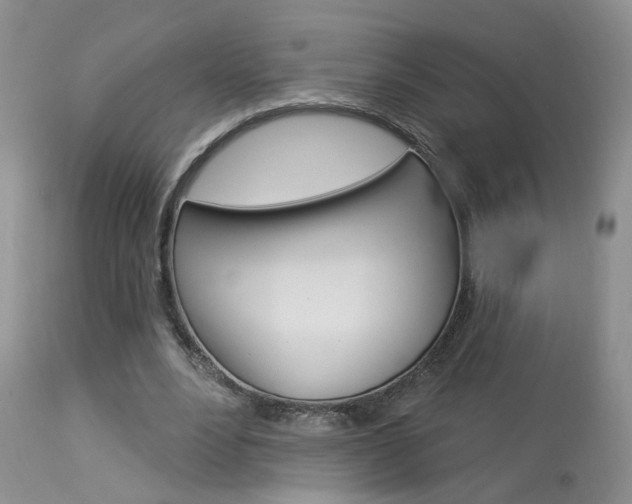 X0000114020488200910021019