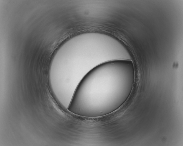 X0000114020489200910021019