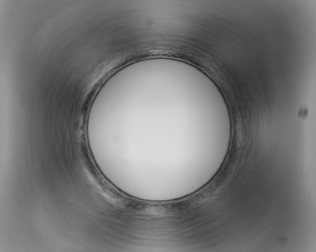 X0000114020490200910021019
