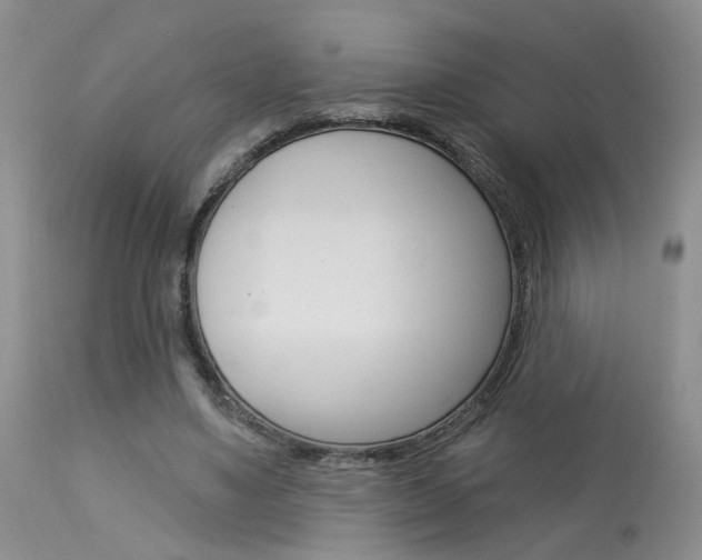 X0000114020491200910021019