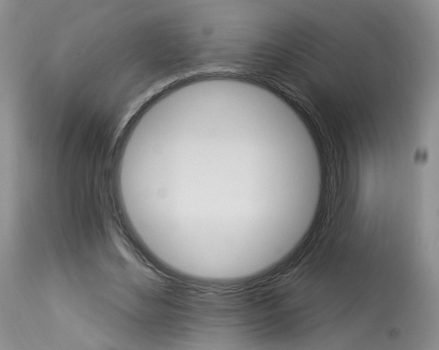 X0000114020492200910021019