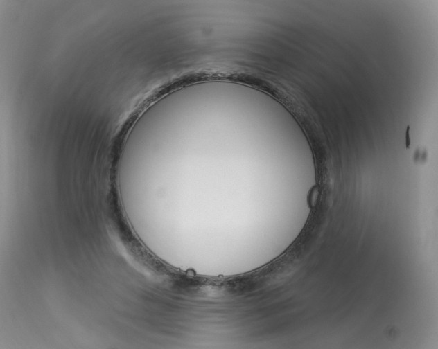 X0000114020496200910021019